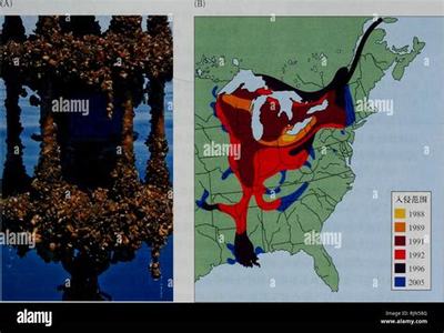 《天使之戰H5》 掘金游戲市場，共贏銷售代理新機遇